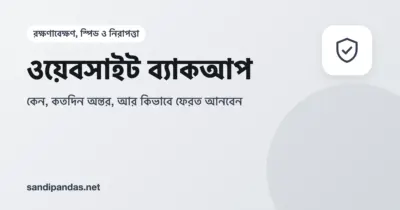 ওয়েবসাইট ব্যাকআপ — ল্যাপটপ থেকে ক্লাউডে সাইটের কপি সেভ হওয়ার ছবি
